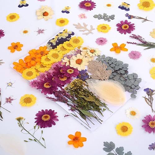 Miniatura 24 de 100 piezas de hojas verdes prensadas secas reales, herbario de plantas naturales para bricolaje, moldes de resina, fabricación de joyas