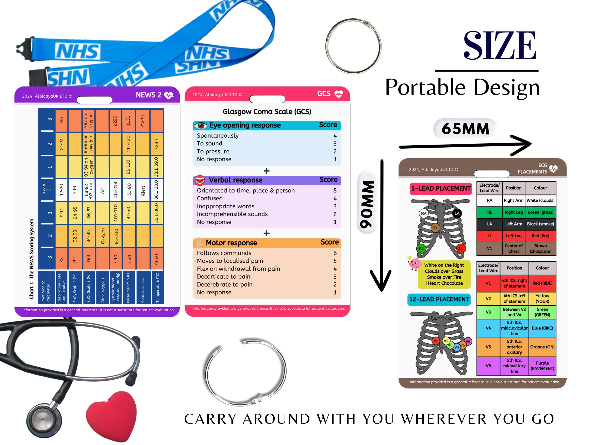 Medical References Badge Cards Set of 10, Clinical Setting NEWS 2 PEWS Healthcare Professionals, Medical Students Revision Cards - Image 3