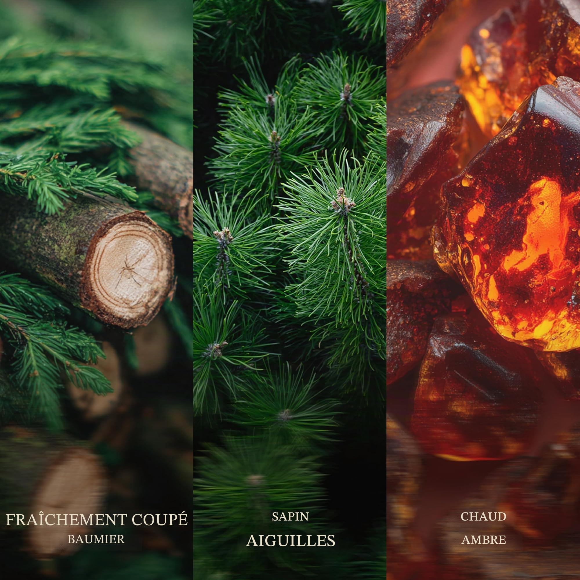 WoodWick grande bougie parfumée sablier avec mèche crépitante | Sapin de fraser | Jusqu'à 130 heures de combustion