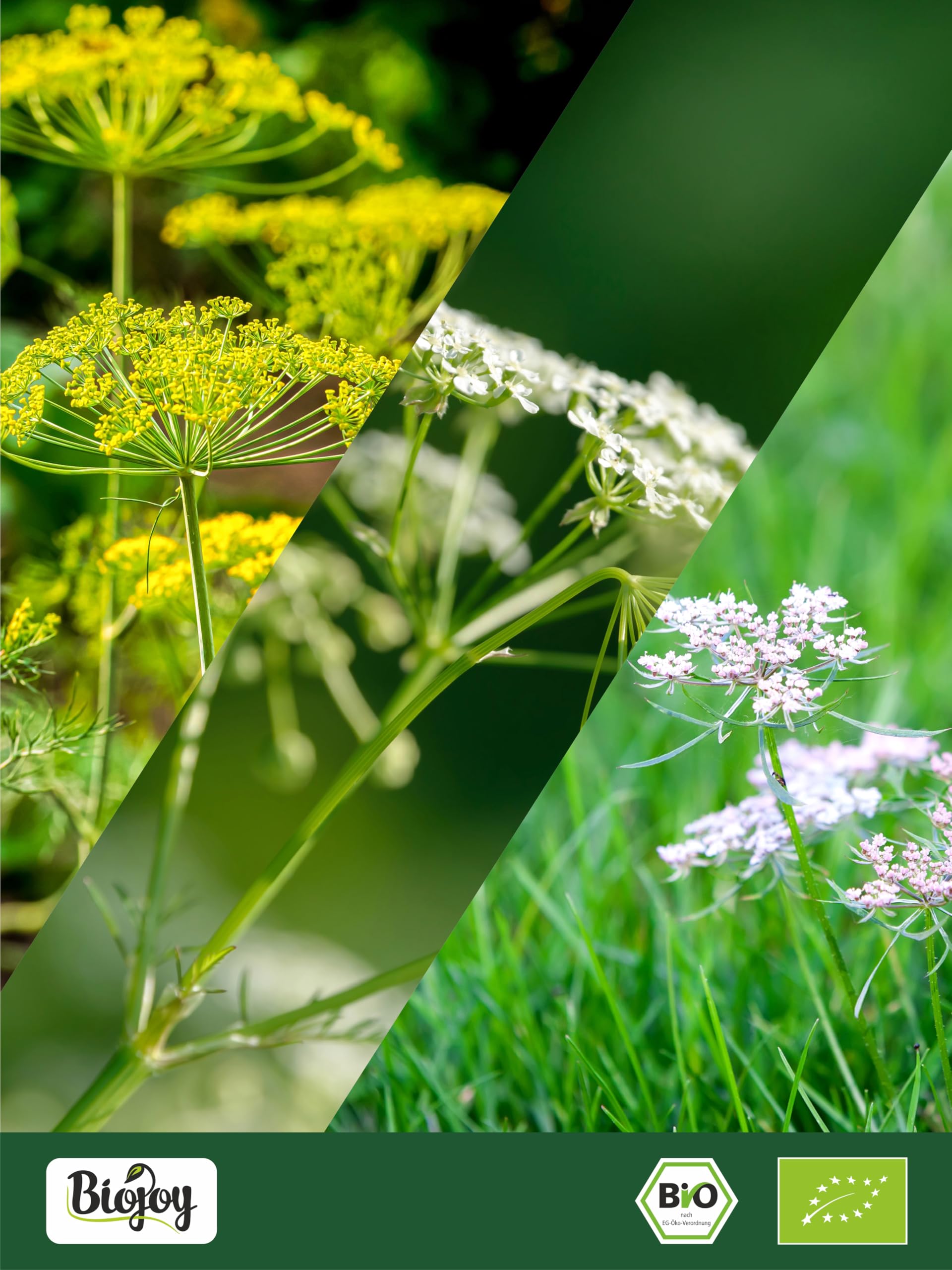 Biojoy Organiczna Herbata z kopru włoskiego, anyżu i kminku luzem (100 g), całe nasiona