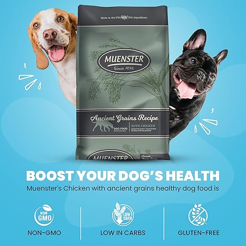 Miniatura 5 de Muenster Ancient Grains - Alimento seco para perros grandes con sabor a pollo (22 libras), sin gluten, sin OMG, con alto contenido de proteínas,