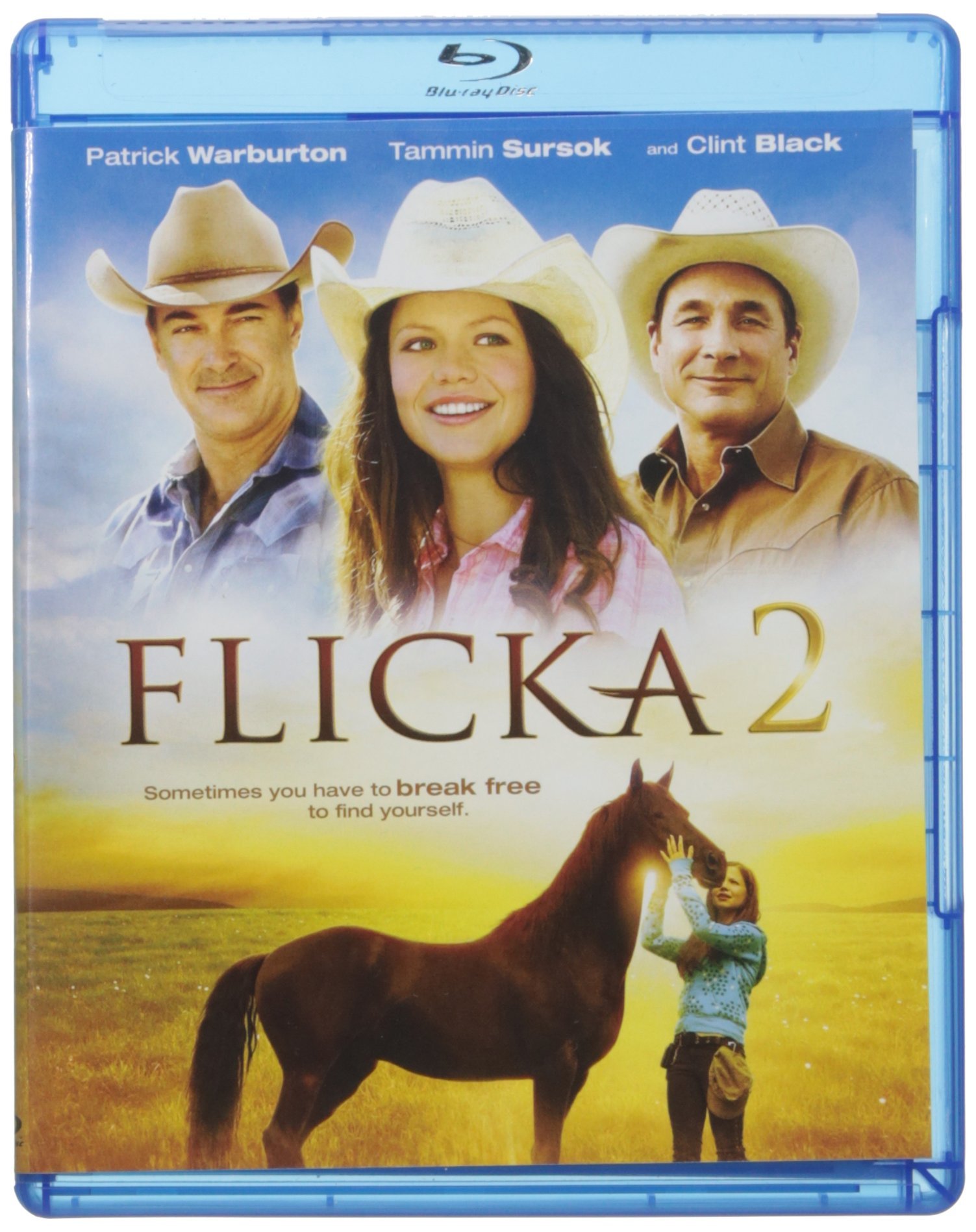 Filme Flicka 2 Flicka 2 – Filme Bei Google Play