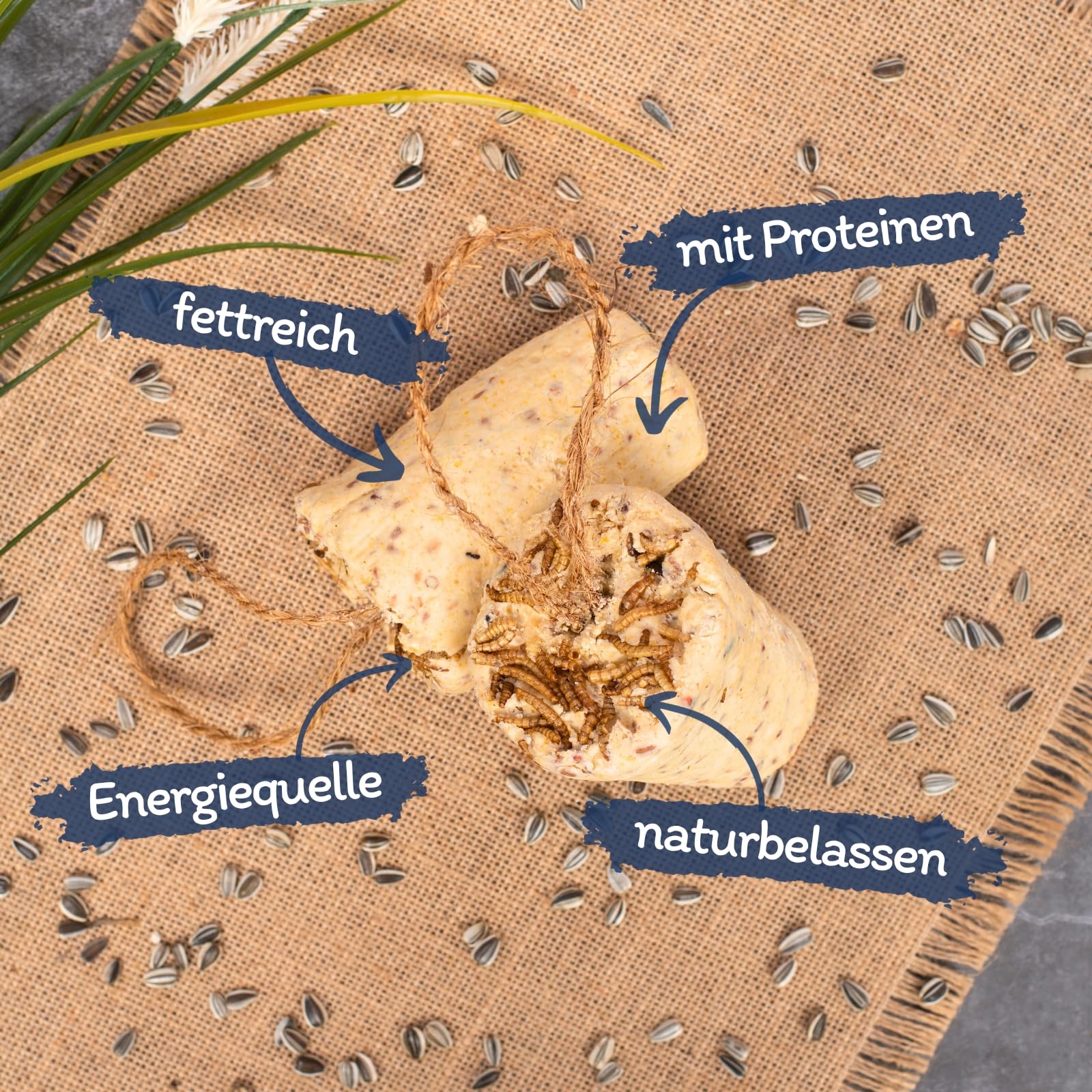 Lyra Pet® 3 x 12 STK. Protein Boost Körner Riegel mit Mehlwürmern fettreich | Proteinreiches Vogelfutter für Sommer & Winter - Premium Erdnussbutterriegel - Fettreicher Energiespender für Wildvögel