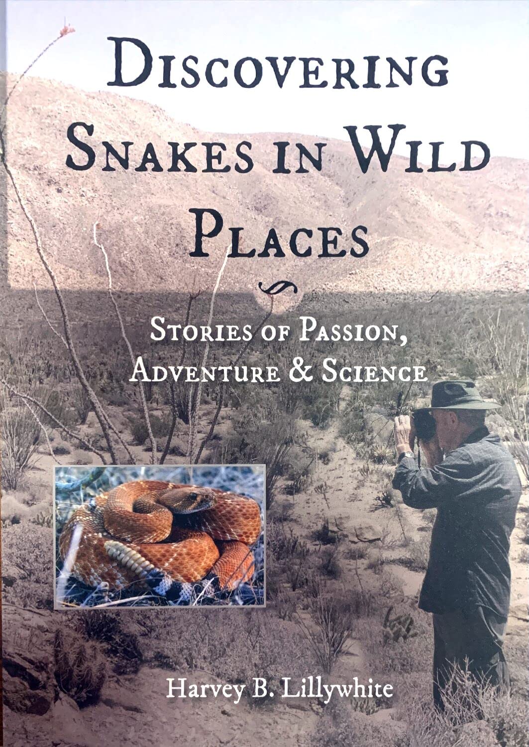 Discovering Snakes in Wild Places