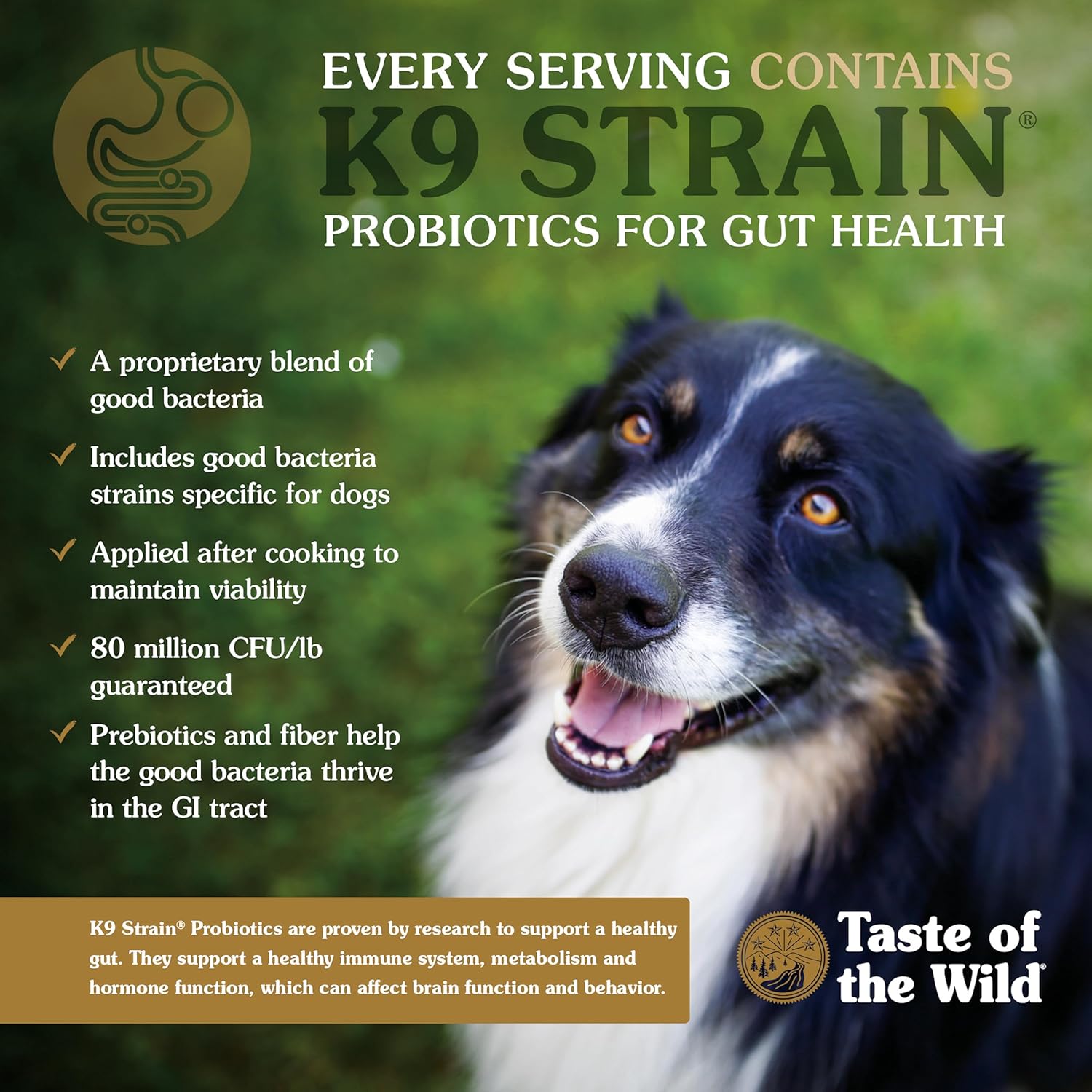 Taste of The Wild Pacific Stream Grain-Free Dry Puppy Food With Smoke-Flavored Salmon 5lb