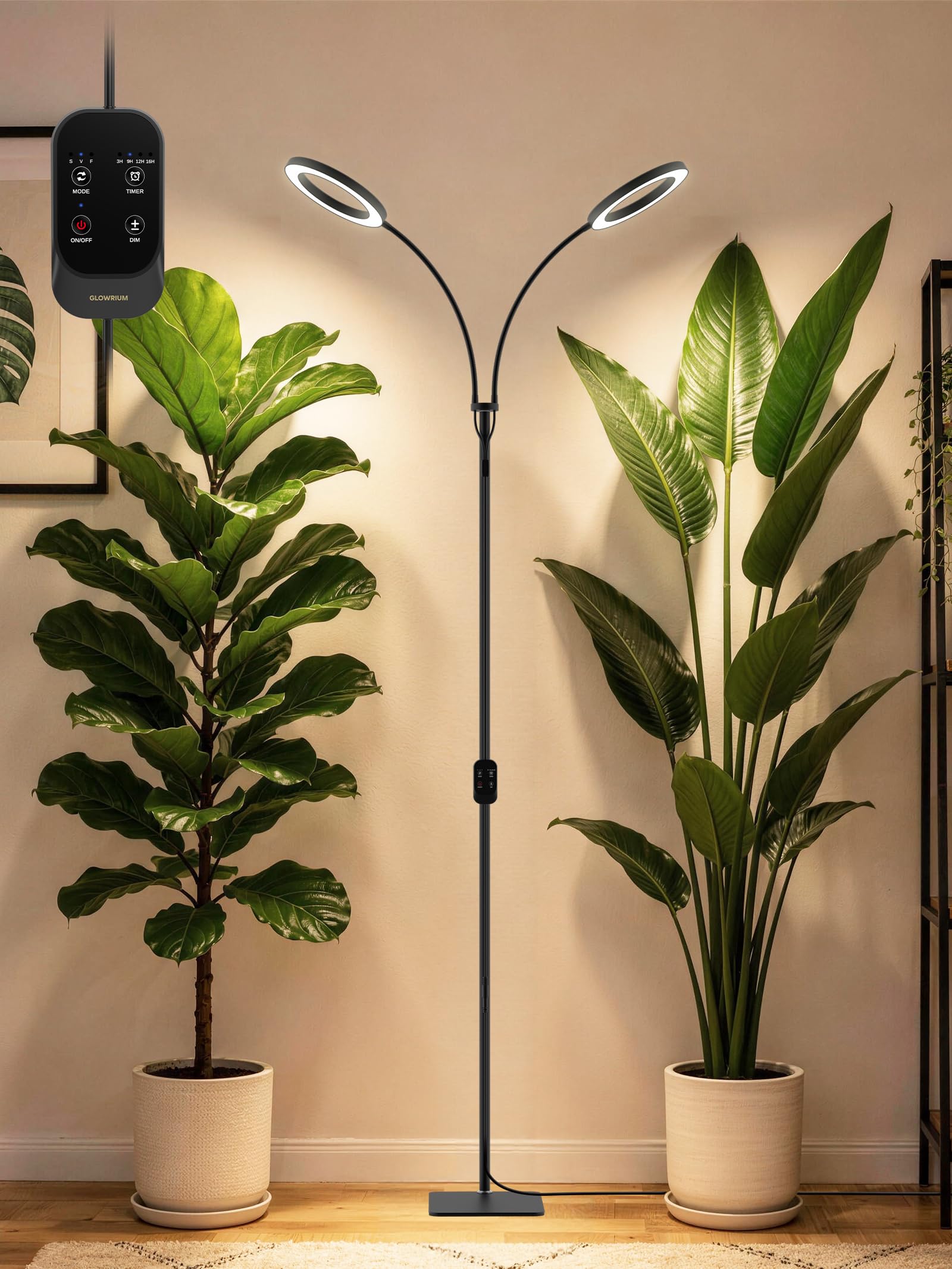 GLOWRIUM Dual Head Floor Lamp