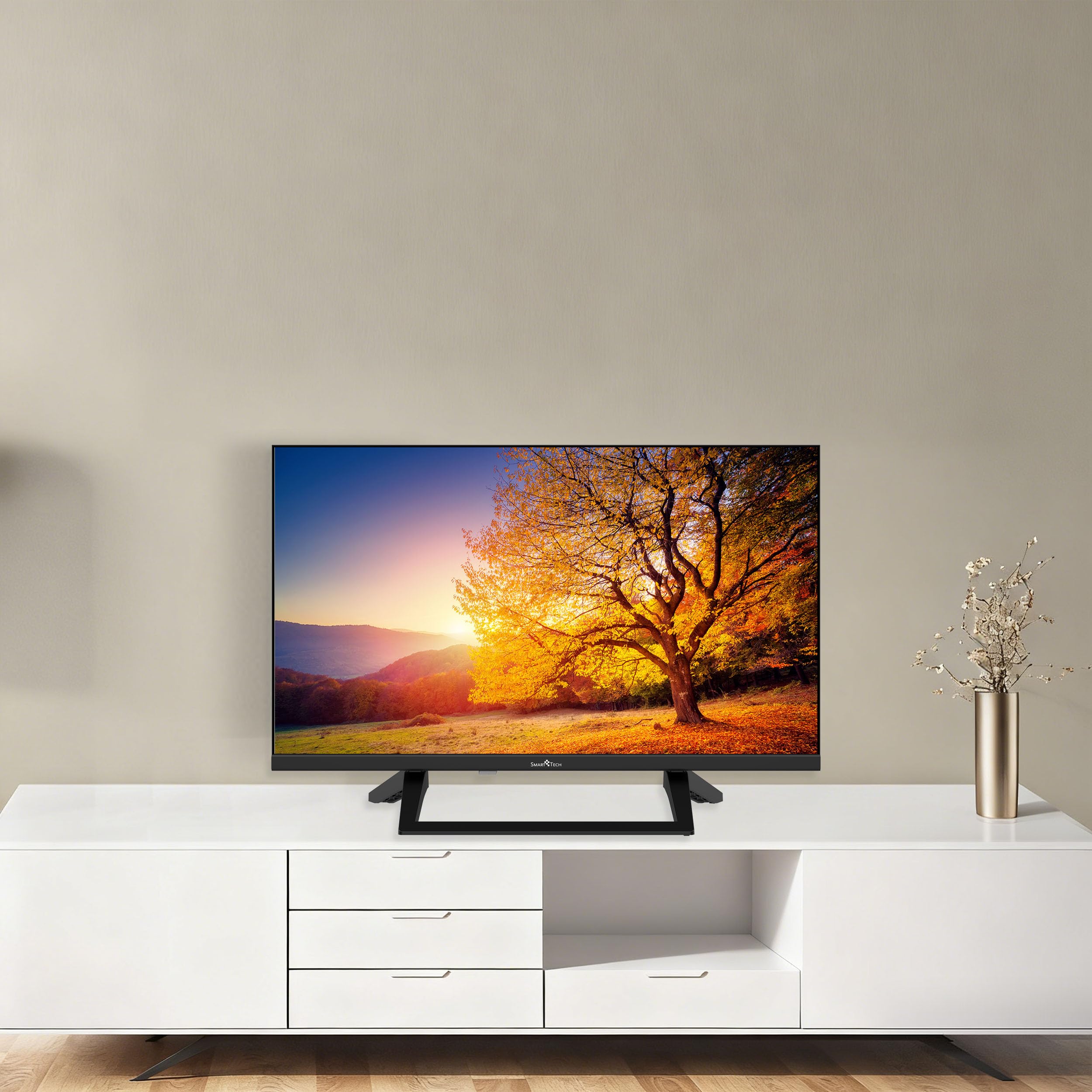 Smart Tech TV LED HD 24" (60 cm) Smart TV Google 24HG01VC Chargeur de véhicule 12v fourni, HDMI, USB, Résolution: 1366 * 768