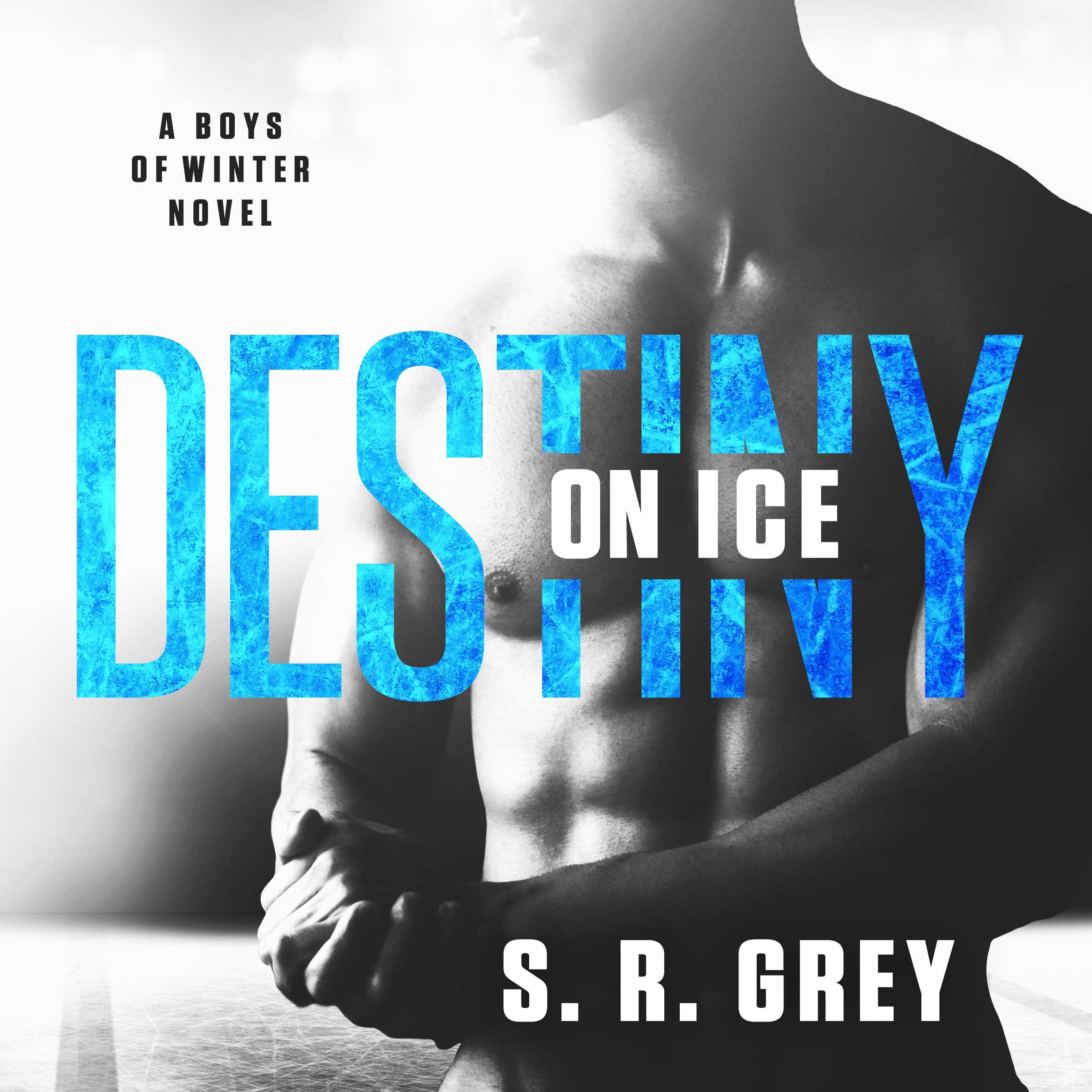 Cover art for Destiny on Ice