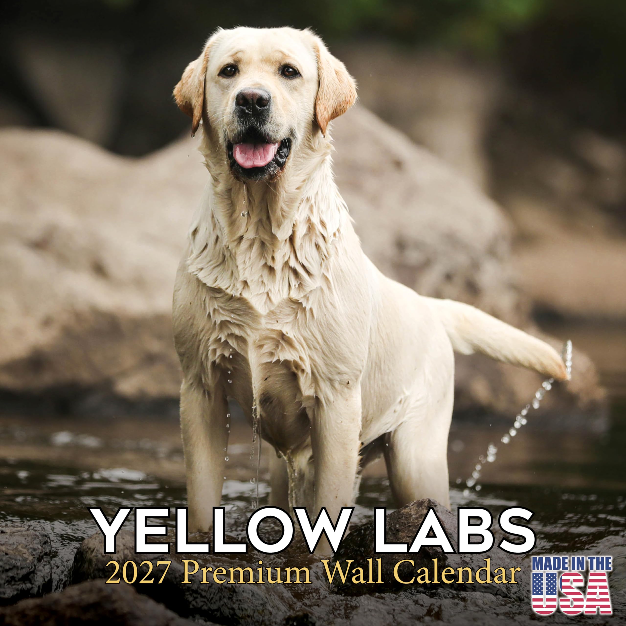 2022 2023 Yellow Labrador Retriever Calendar,Dog Breed Monthly Wall Calendar,Yellow Labrador Retrievers Calendar,12"x24" Opened,Thick No-Bleed Paper,Giftable,JUNE 22,DEC 23 19 Month — image 1