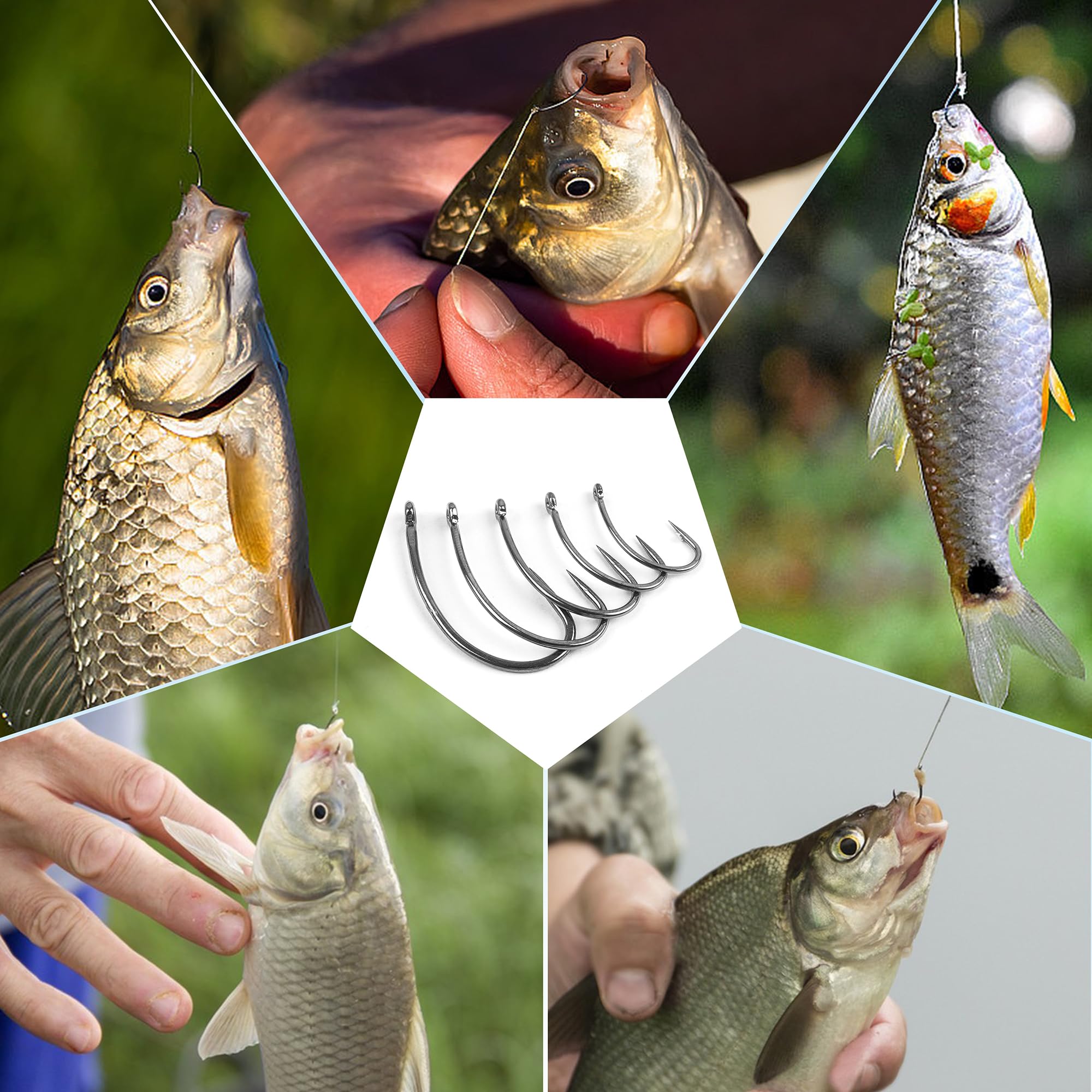 Juego de 175 anzuelos de pesca sin rebaba, anzuelos de pesca de carpas de tamaño pequeño, manivela de vástago curvo y ganchos de carpa anchos, ganchos circulares con caja de aparejos tamaño 2#, 4#,