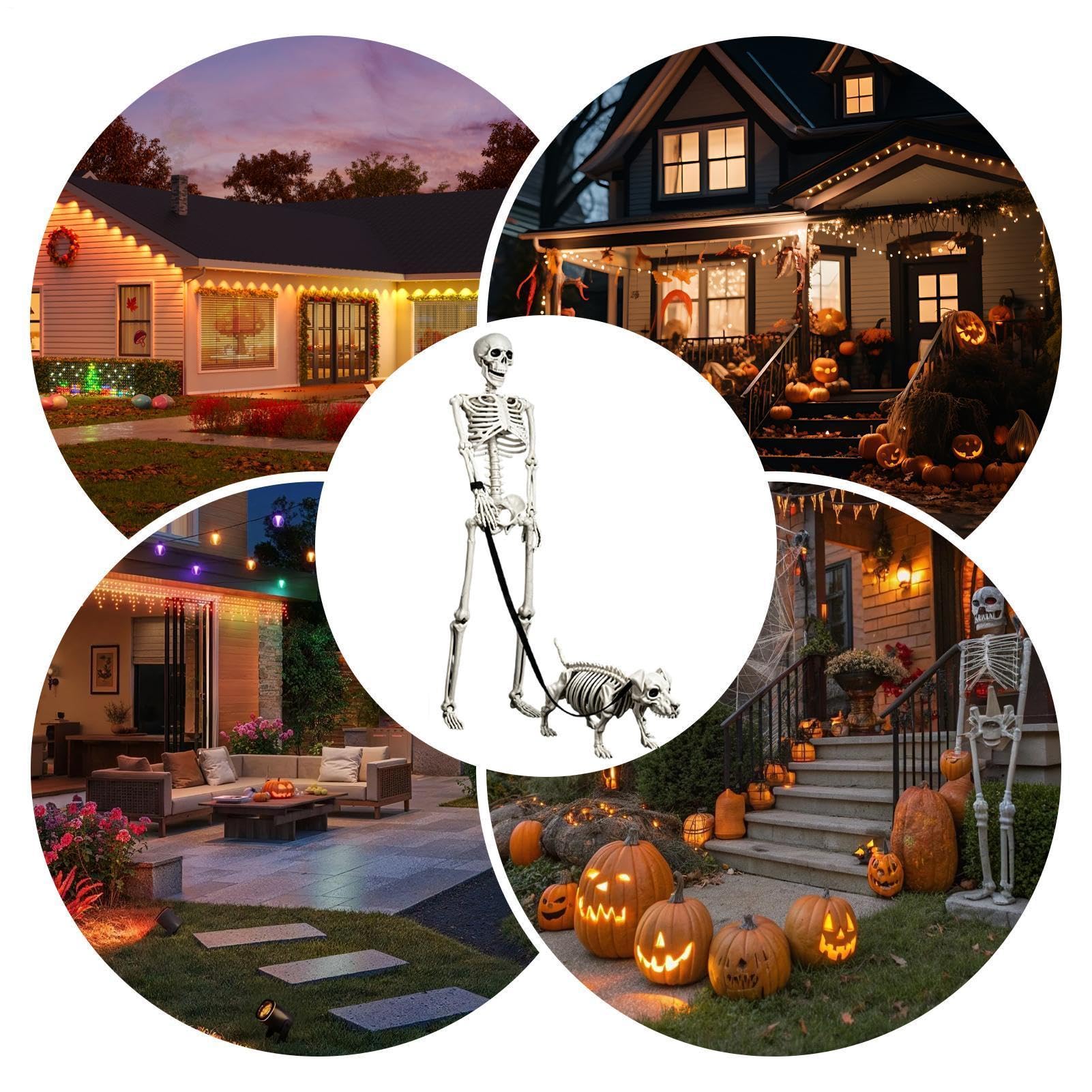 Halloween Skeleton Posable Creepy Human Walking Dog Puntelli