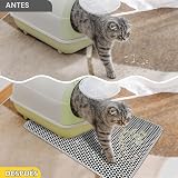 Ver la foto 2