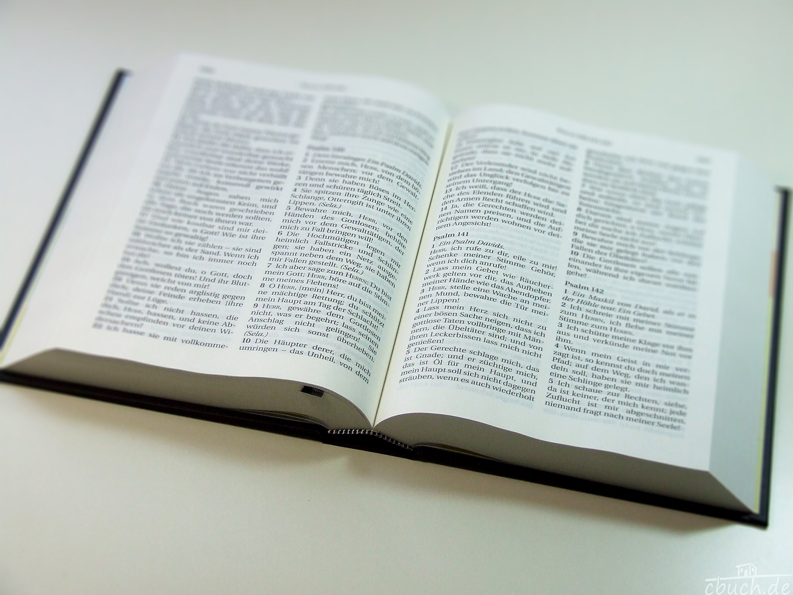 Schlachter 2000 Bibel - Großdruckausgabe (Hardcover, schwarz): Großdruckausgabe, Cover schwarz / Fadenheftung / ohne Parallelstellen