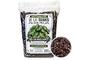 De La Tanks House Plant Mix - Tank's Green Stuff