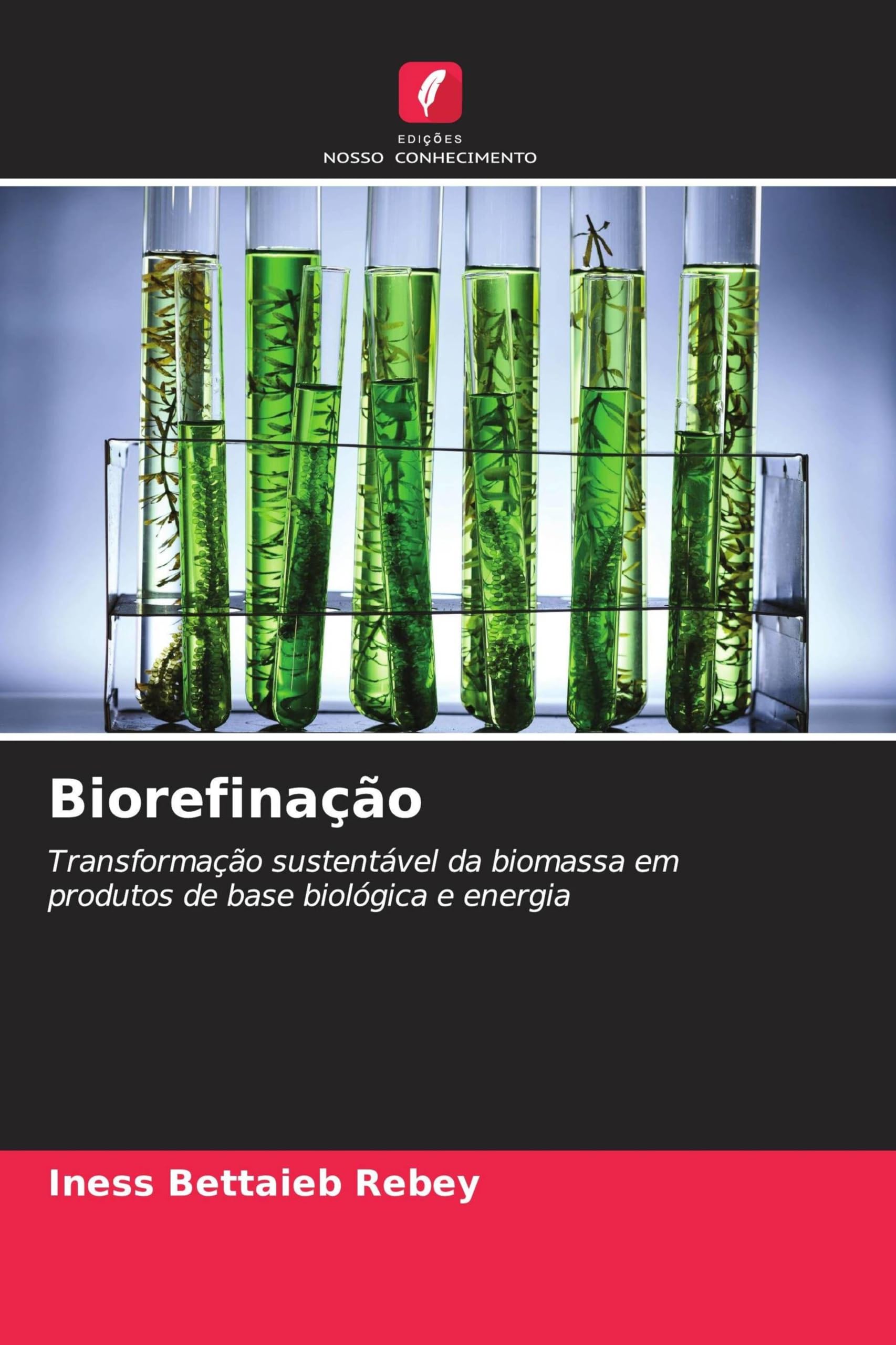Biorefinação: Transformação sustentável da biomassa em produtos de base biológica e energia