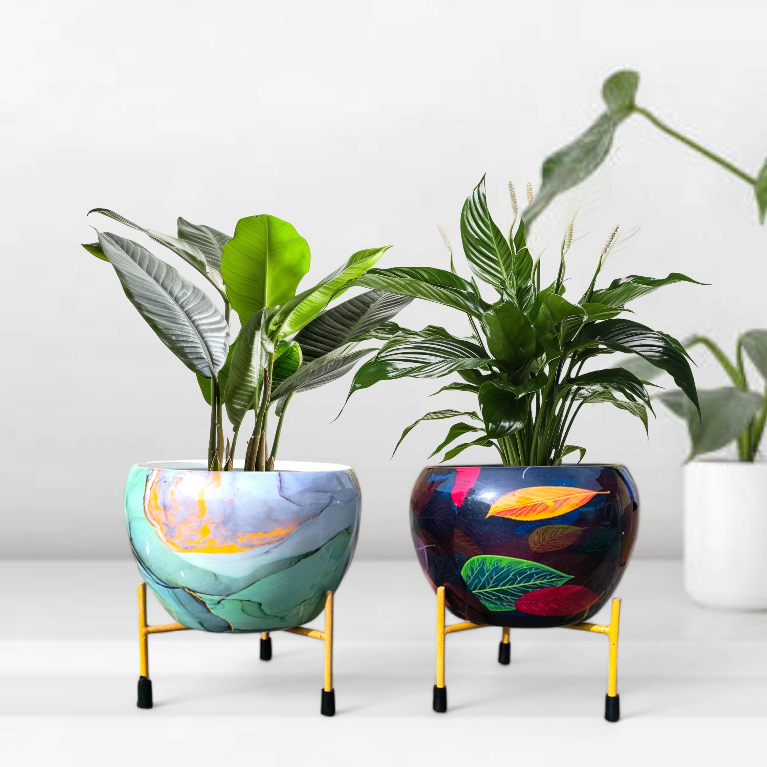 See full amazon price history chart for BRCN Indoor Metal Planter with Golden Stand | Table Top Pots for Living Room | Designer Flower Vase | Office Decor Items (Black&Blue) BRCN Indoor Metal Planter with Golden Stand | Table Top Pots for Living Room | Designer Flower Vase | Office Decor Items (Black&Blue) (B0DGQ4P2GV) Amazon Price History, Amazon Price Tracker