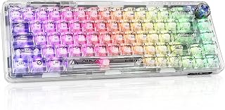 CHICHEN 60% Portable Mechanical Gaming Keyboard,Hot-swappable RGB Backlit Compact 68 Clear Keycaps,2.4Ghz Wireless/Bluetooth/USB-C,Transparent Gasket Ice Crystal Switch (Transparent White)