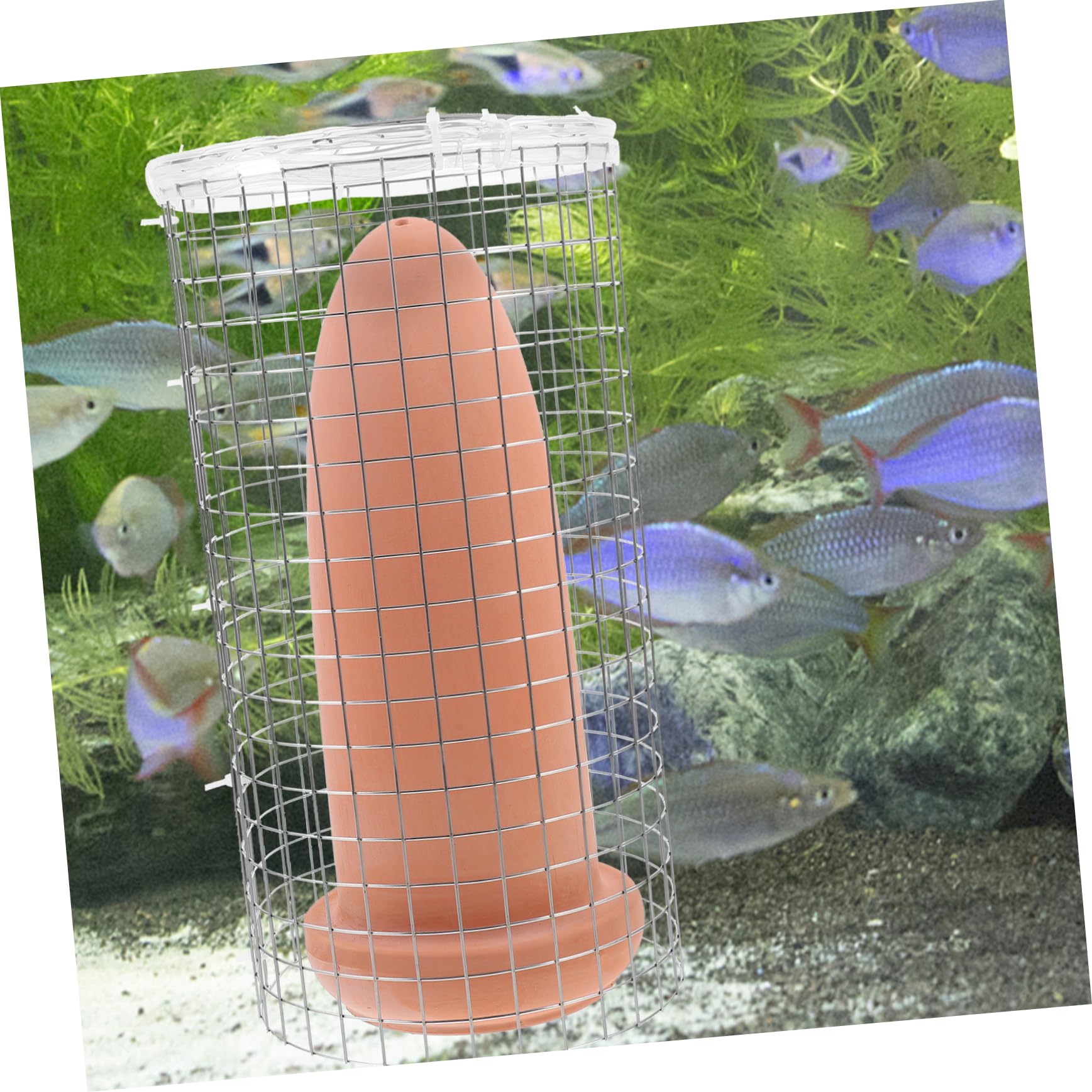 Garnelenzuchteimer und Fischzuchteimer für Aquarium Zucht und Dekoration