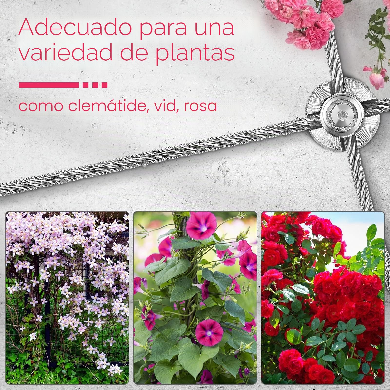 Marco para Trepar Plantas Soporte Enrejado Plantas Trepadoras, Cuerda de Acero Inoxidable de 16 M, Kit de Fijación de Enrejado Alambre Jardín Hogar
