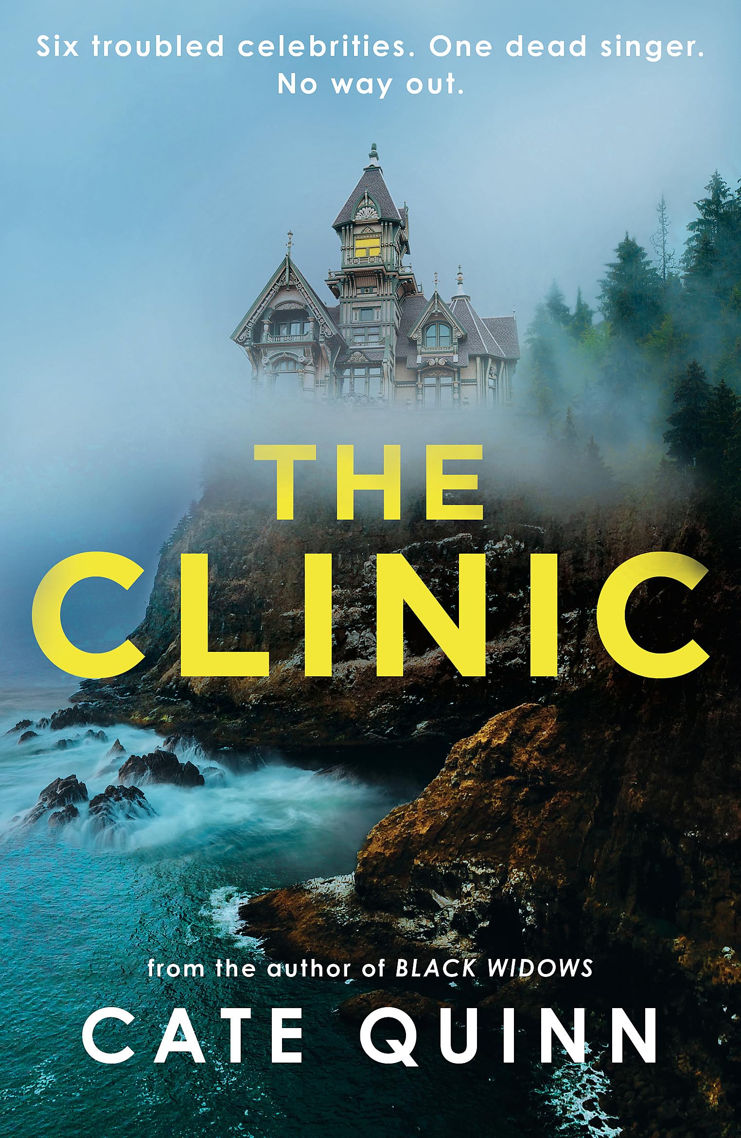 The Clinic by Cate Quinn (Paperback Book)