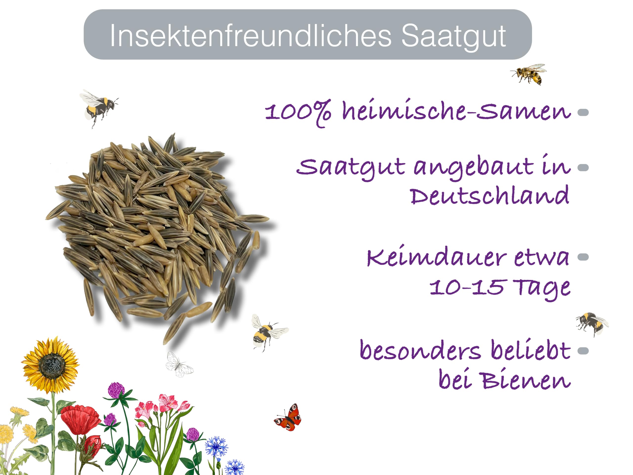 1.500 deutsche Sandhafer Samen (lat. Avena strigosa) - Rauhafer - gegen  Fadenwrmer Unkraut & Grndngung - Schnelle robuste Bodenbedeckung - Sand  Hafer fr Kaninchen & Hasen Futter : Amazon.de: Garten