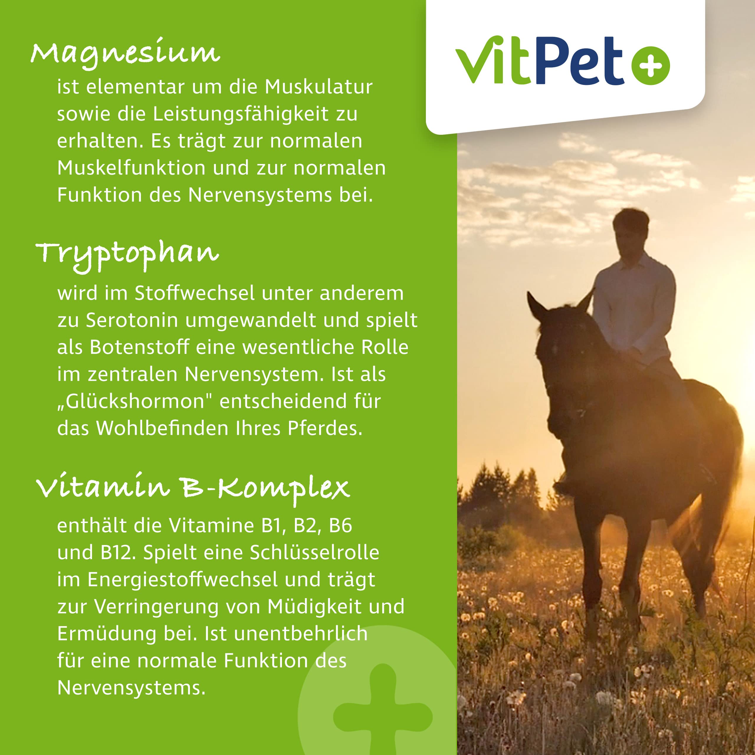 MagRelax für Pferde – Magnesium Pferd mit Tryptophan und Vitamin B-Komplex – 2 kg inklusive Dosierlöffel