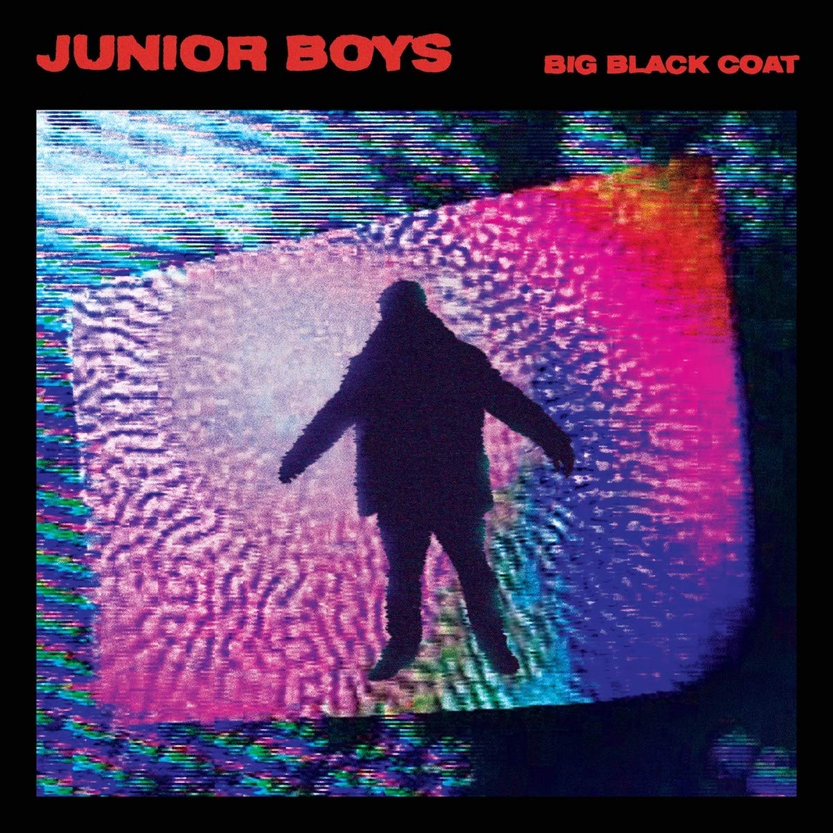 BIG BLACK COAT [VINYL]