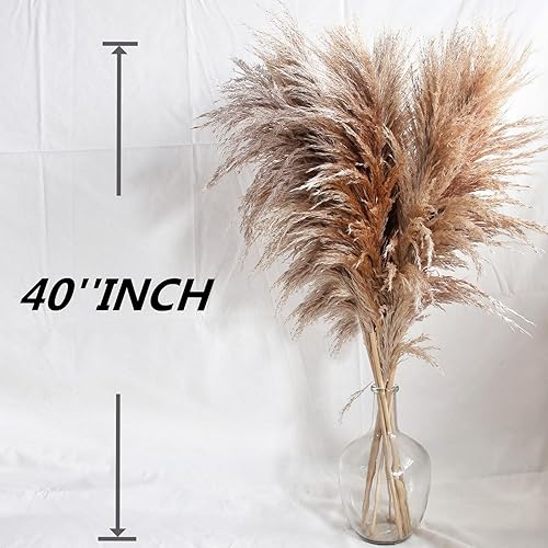 Miniatura 2 de 10 tallos de 40 pulgadas para decoración de hierba de pampa alta, plantas secas, flores secas naturales para bodas, decoración natural del hogar,