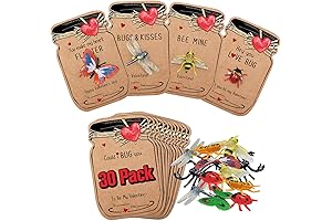 Valentines Day Love Bug Cards Bulk for Kids - Cute Valentine Exchange...