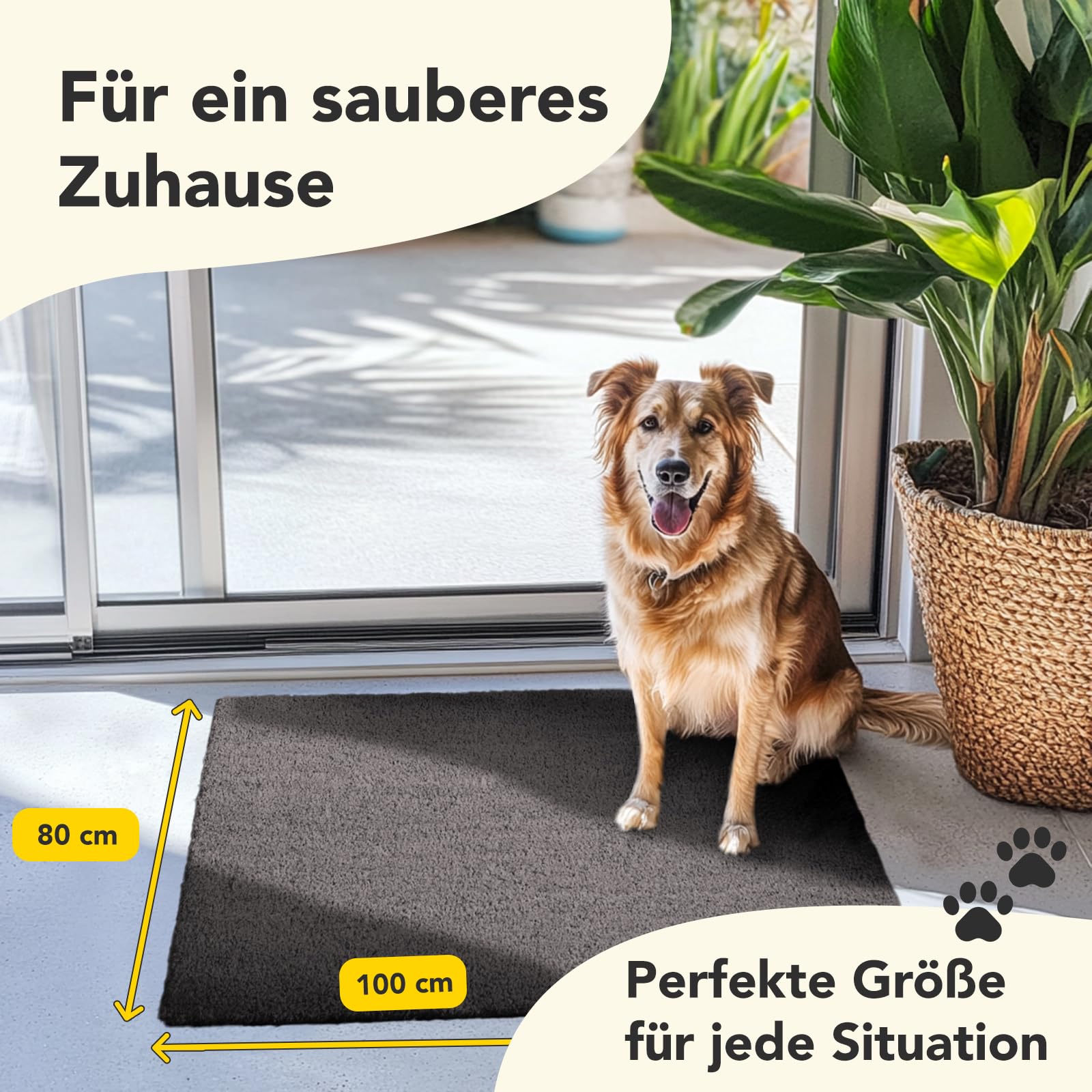 Floordirekt Zerbino per interni ed esterni, 80 x 100 cm, grigio, in cocco, antisporco per porta di casa, tappetino antiscivolo in cocco, zerbino (17 mm)