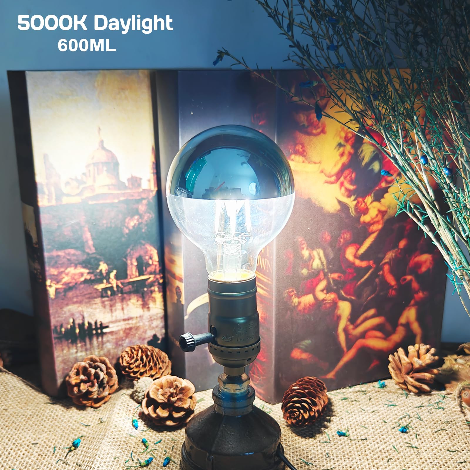 ARGANOL Half Chrome Light Bulb 6W (60 Watt Equivalent), Dimmable