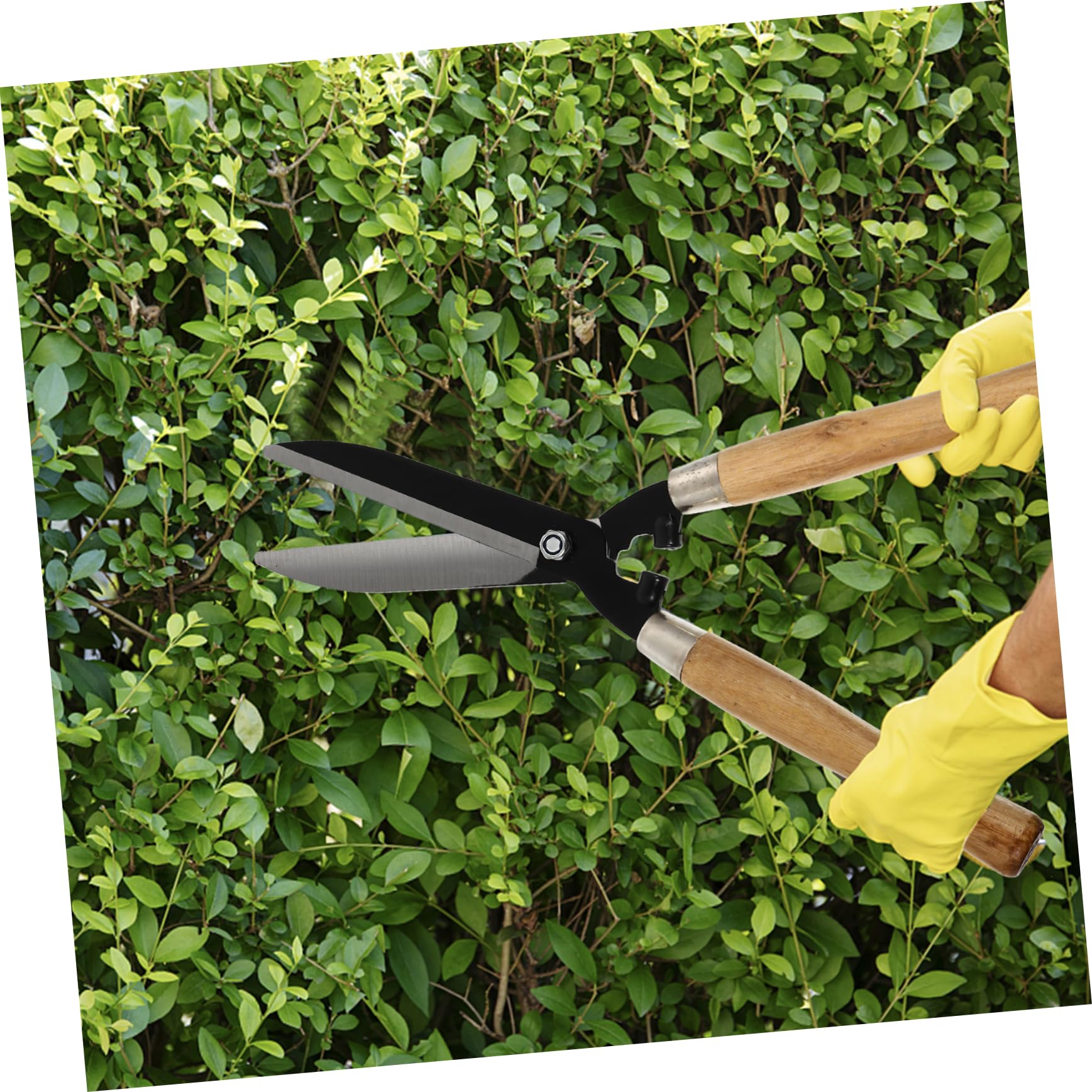 1pezzi Forbici Da Giardino Per Potatura Impugnatura in Legno Lame in Acciaio Temprato Affilate Utensili Per Innesto Per Alberi e Prato Forbici Da Siepe Ergonomiche Per Giardinaggio