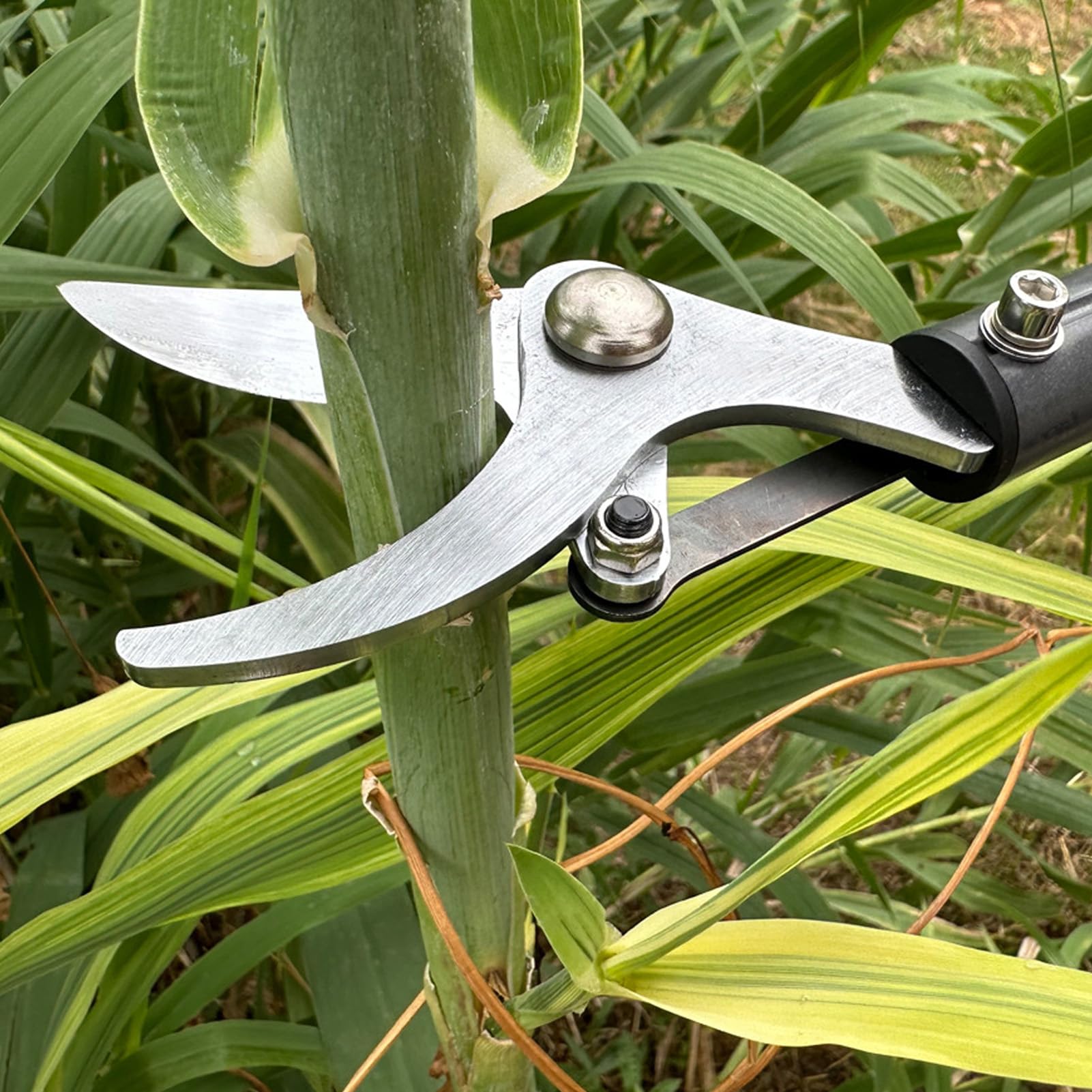 Tijeras de Podar Eléctricas Eficientes SK5 de Acero con Alto Contenido de Carbono, Inalámbricas, con Batería de Litio, para Jardines