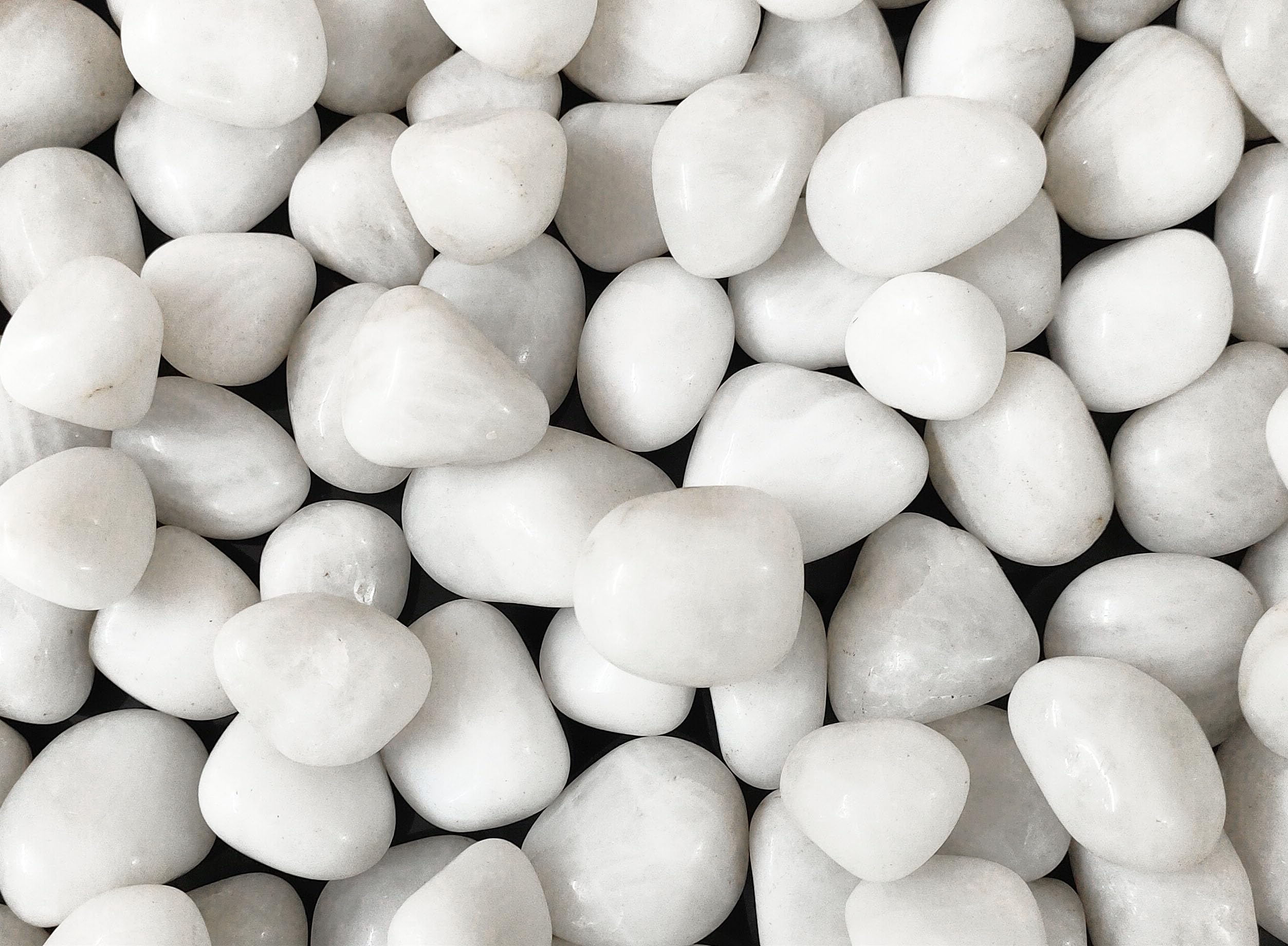 Paramya White Pebbles Stones 1kg for Plants Pots, Aquarium/Fish Tank, Garden, Decoration, Table and Home Decor, Vase Fillers,Terrarium,Garden Pots, & Multi Purpose Uses (1 kg, White) (B0D9WDF2QX) Amazon Price History, Amazon Price Tracker