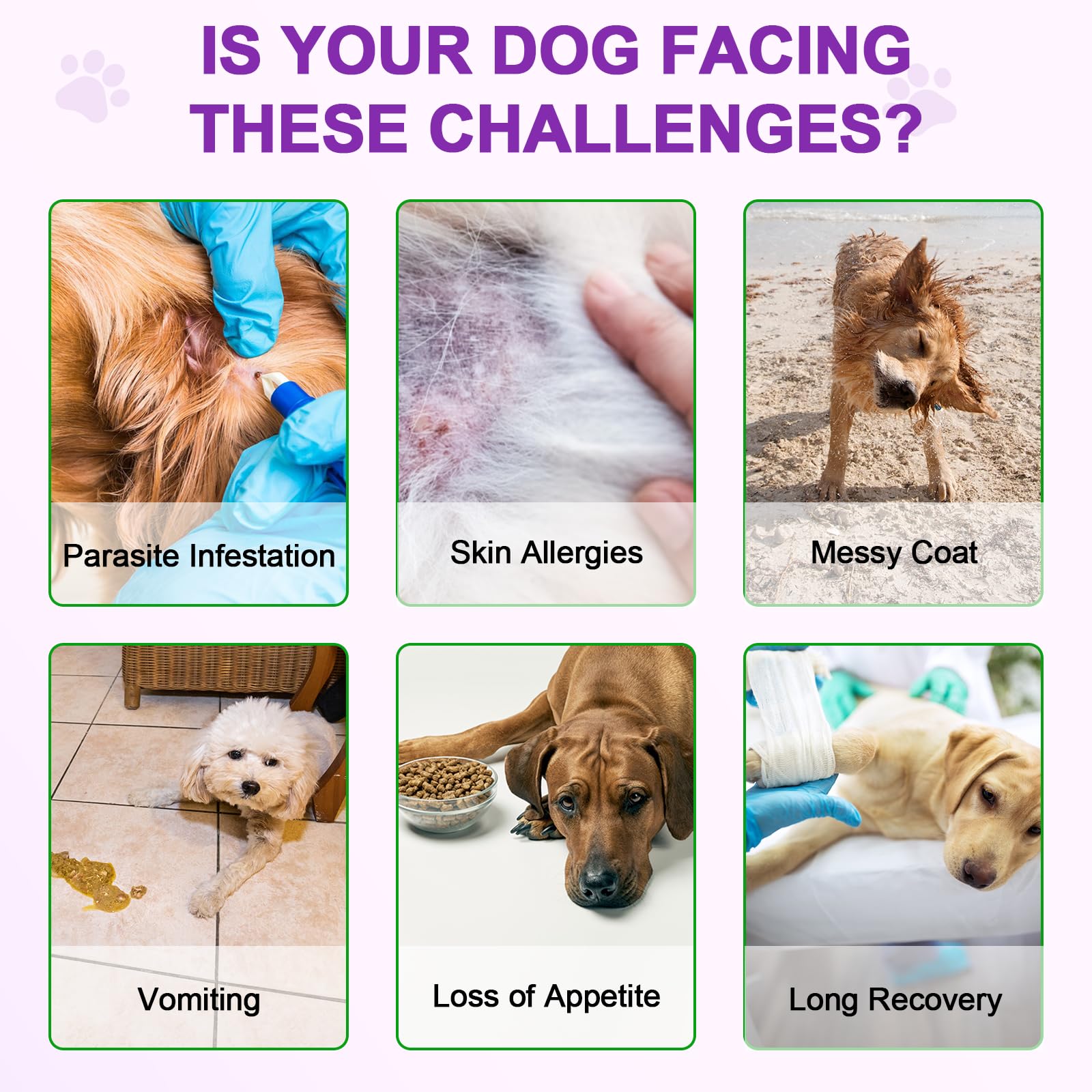 Dog Allergy Relief Treats, 150pcs Alivio de la alergia en Perros, Masticable para Fortalecer el Sistema inmunitario, Elimina la picazón, el lamido y el rascado, Alergias estacionales