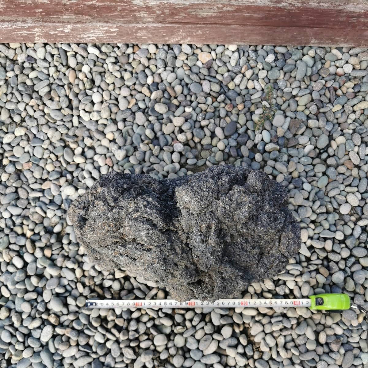 Amazon.co.jp: 富士溶岩石21.8キロ 庭石鑑賞石石盆石水石灯籠庭