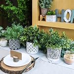 Winlyn 3-Pack Artificial Potted Plants - Faux Eucalyptus, Rosemary, Boxwood Greenery in Small Black & White Geometric Concrete Pots -Desk, Table, Shelf, Windowsill Decor for Indoor Outdoor Home Office