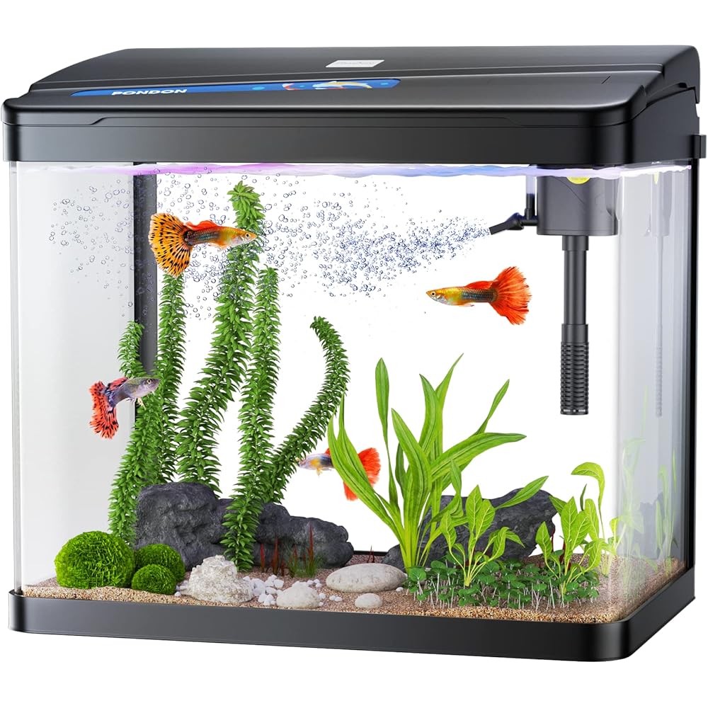 10/mo Finance PONDON 5 Gallon Fish Tank, Betta Fish Glass Aquarium