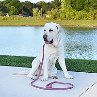 Vista 5 de Dogline Biothane - Correa impermeable para perro de nailon tejido con revestimiento resistente con herrajes negros, resistente a olores, fácil