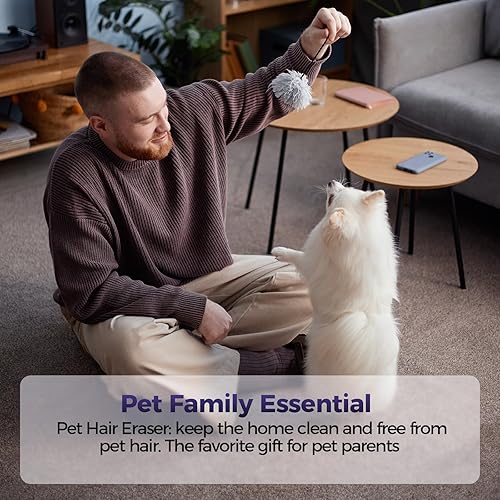 Miniatura 7 de Aspiradora de mano para pelo de mascotas sin cable aspiradora de coche de alta potencia de 20000 PA con cepillo motorizado y luz LED, aspiradora de