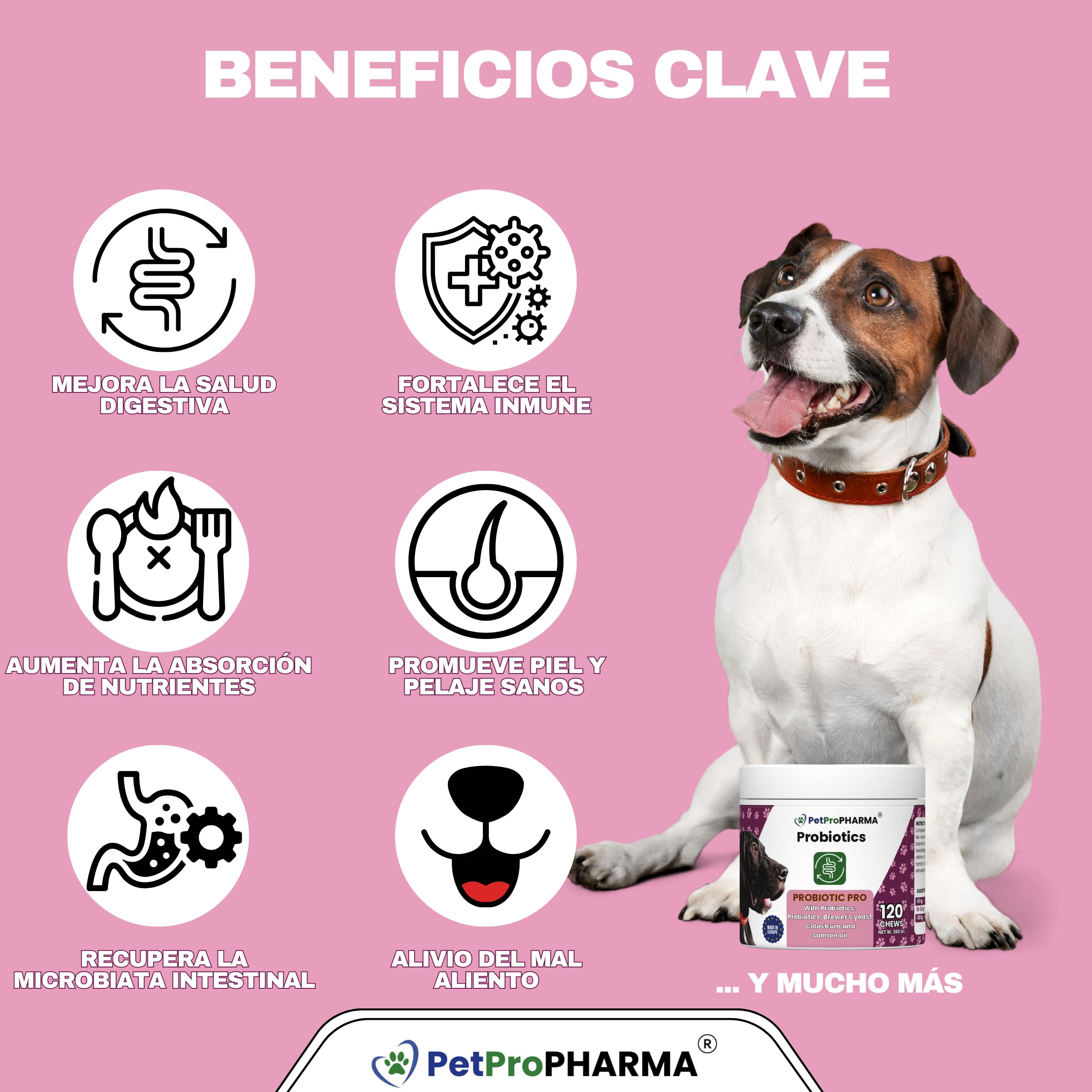 Probioticos y Prebioticos para Perros y Gatos Complemento alimenticio para Soporte digestivo y Refuerzo inmunológico Pastillas Masticables Absorcion Nutrientes y Flora intestinal 120 Galletas