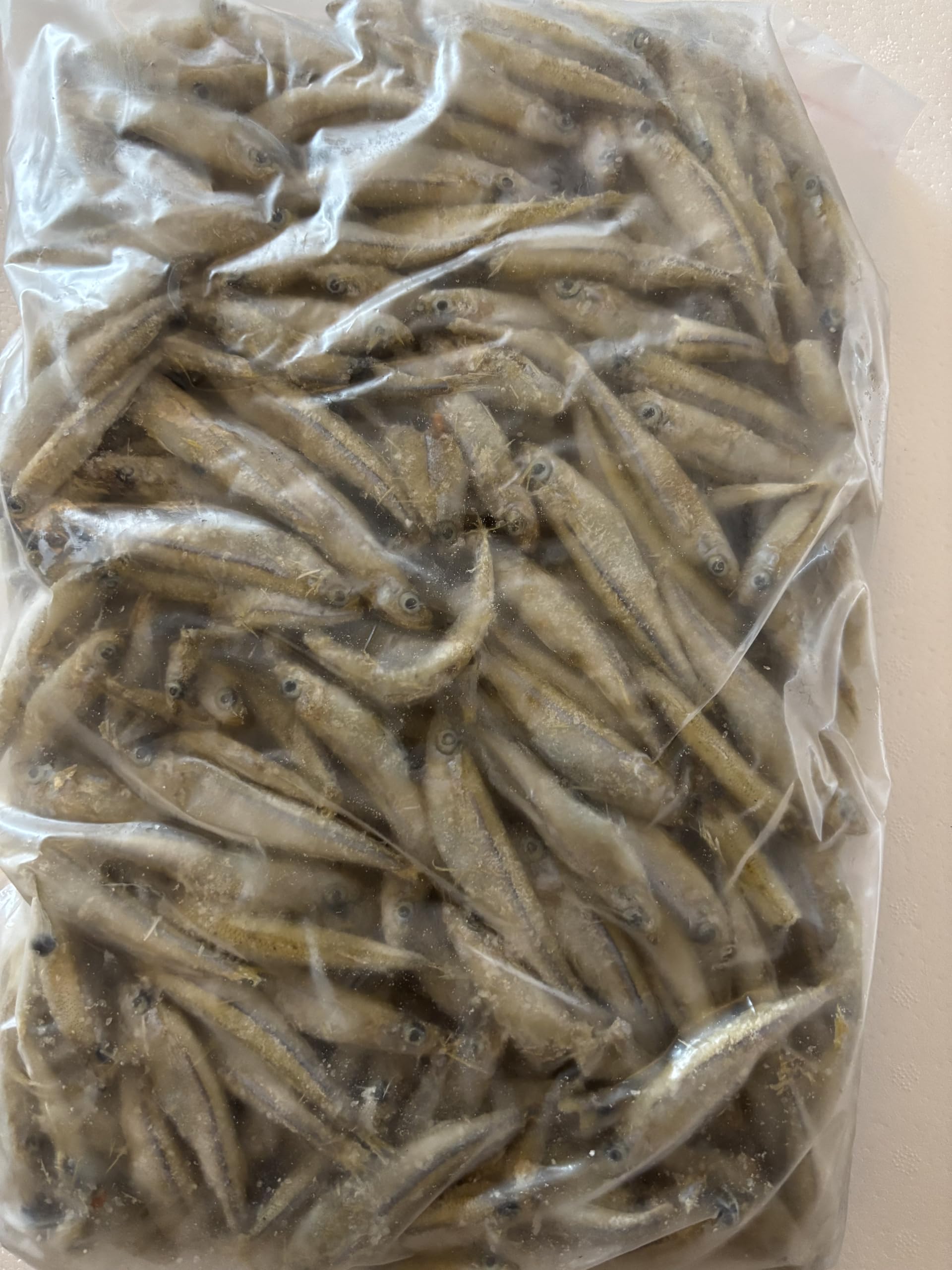 Gefrorene Stinte 1kg – Frostfutter für Raubfische, Reptilien, Katzen & Schildkröten – Fischfrostfutter lose geschüttet – Einzeln entnehmbar – Barf geeignet – Angelköder