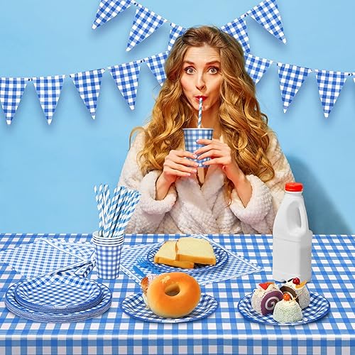 Miniatura 5 de 205 piezas de suministros de fiesta para 25 invitados, mantel a cuadros, banderín, banderín, plato, servilleta, cubiertos y pajita para fiesta de