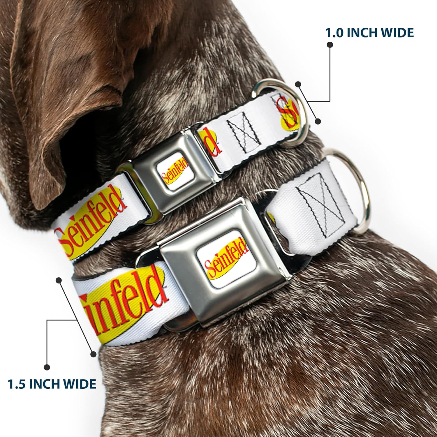 Dog Collar Seatbelt Buckle Seinfeld Spotlight Logo White Yellow Red 16 to 23 Inches 1.5 Inch Wide