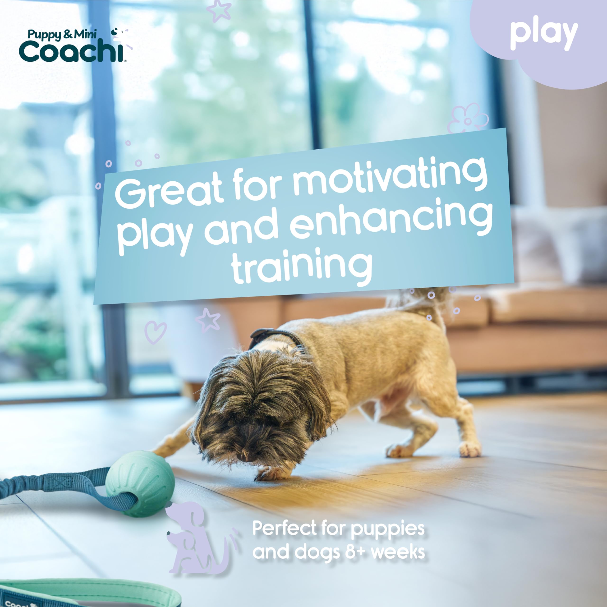 Coachi Puppy & Mini Tuggi Ball, Lightweight, Tough Dog Toy, Stretchy Bungee Handle, Reward Training, Agility, Recall - Image 2