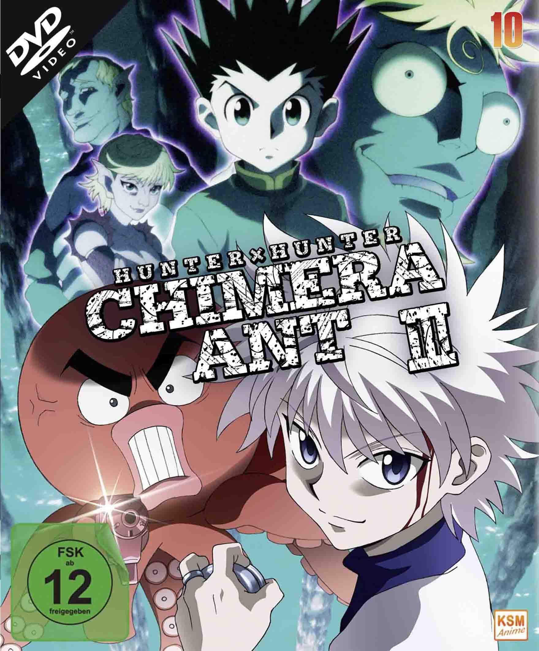 HUNTERxHUNTER - Volume 10: Episode 101-112 [2 DVDs]