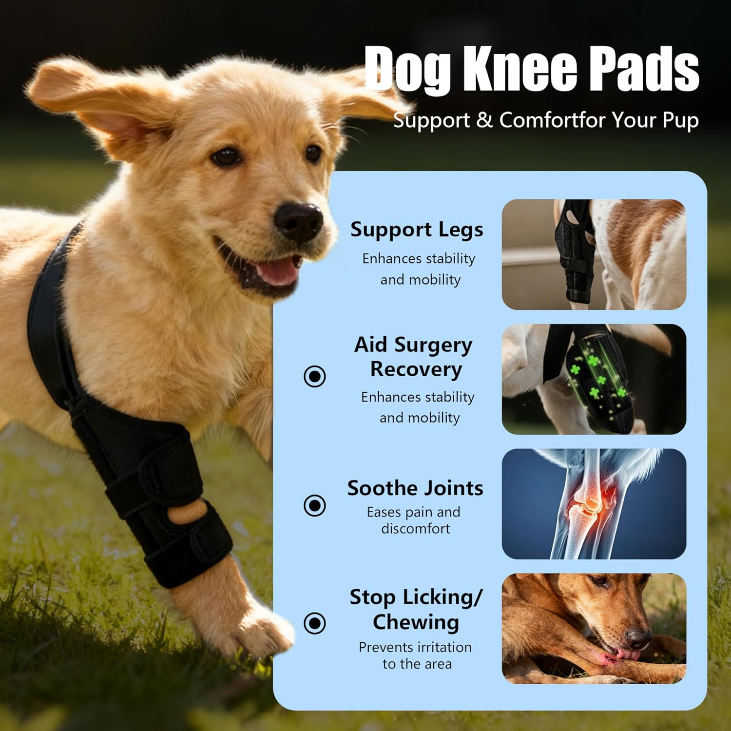 Dog Knee Brace for Torn ACL/CCL & Hind Leg Support - Adjustable Brace for Arthritis Relief, Joint Stability & Injury Recovery - Fits Small & Medium Dogs