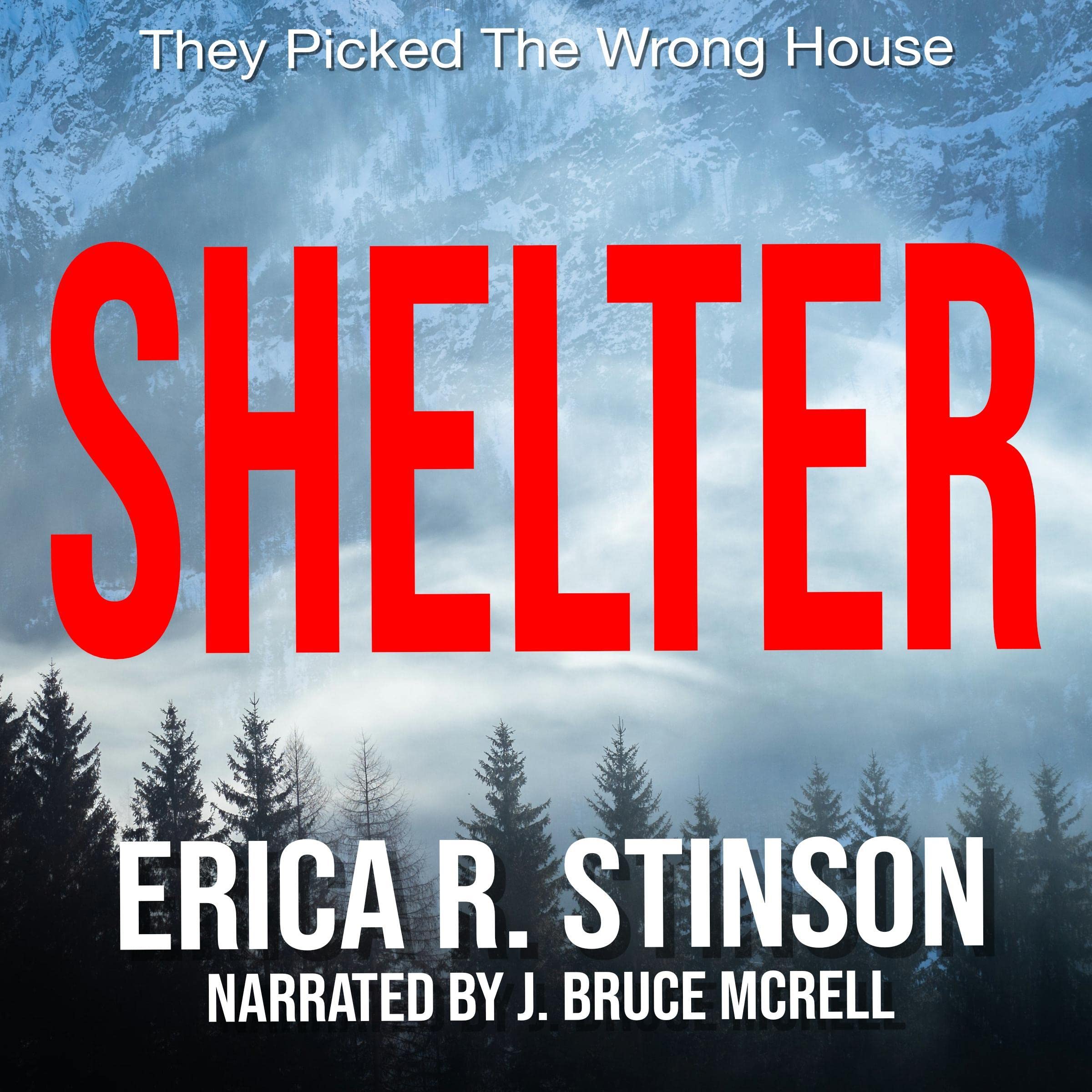 Cover art for Shelter
