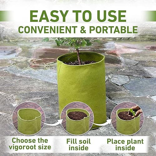 Miniatura 3 de Tierra Garden 50-VIG12 Haxnicks Vigoroot - Macetero para tomates/patatas