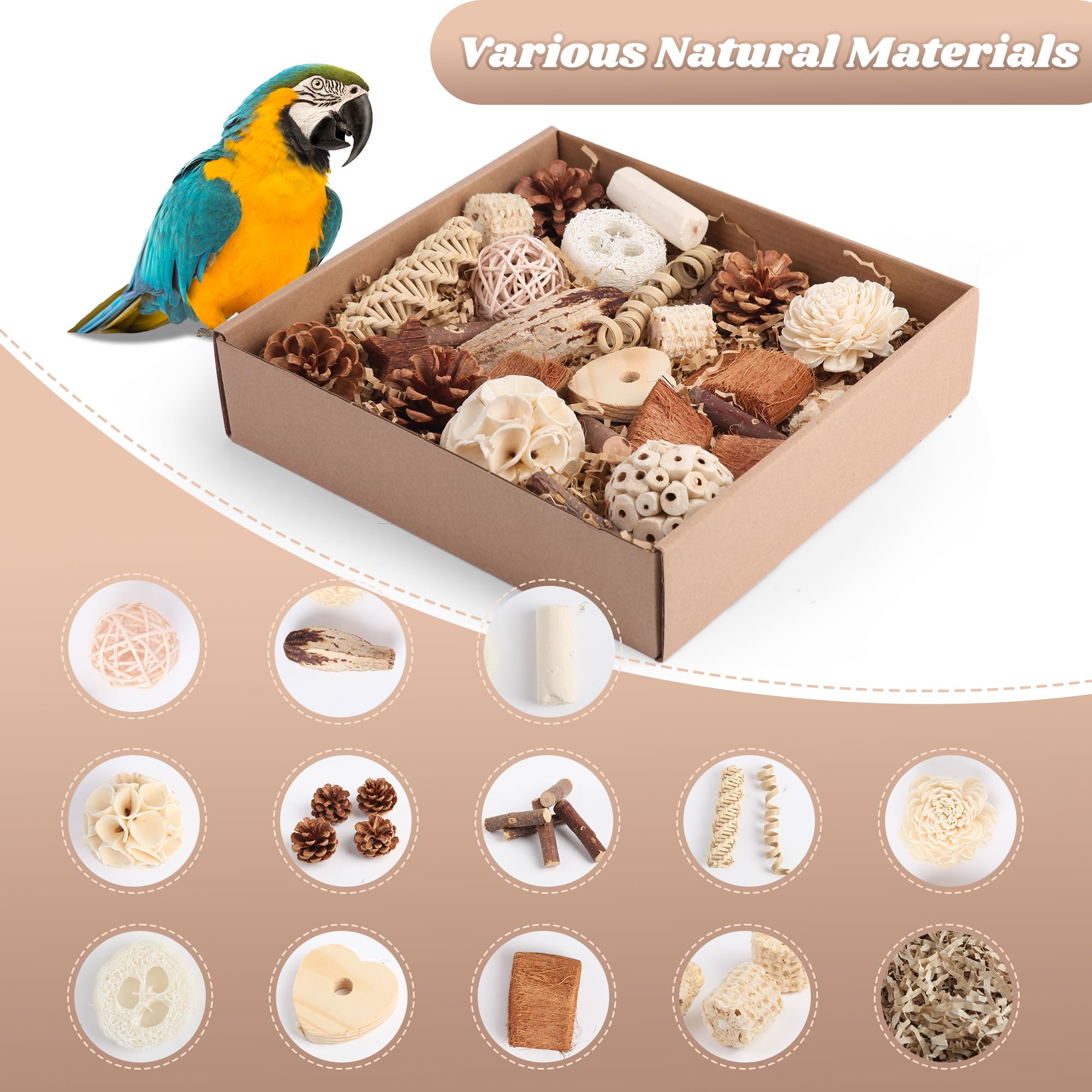 Bird Toys for Parakeets, Natural Cockatiel Foraging Toy Box for Parrots, Conures, Budgies, Macaws, Lovebirds, and Other Small to Medium Birds